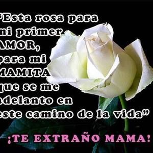 Meet your Posher, Ivett